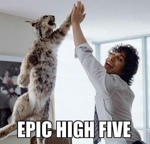 A Very Cool High 5