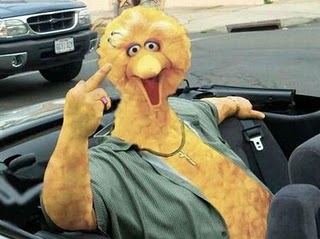 The Biggest Bird Of All