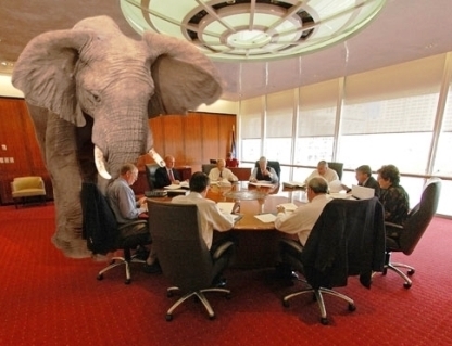 elephant